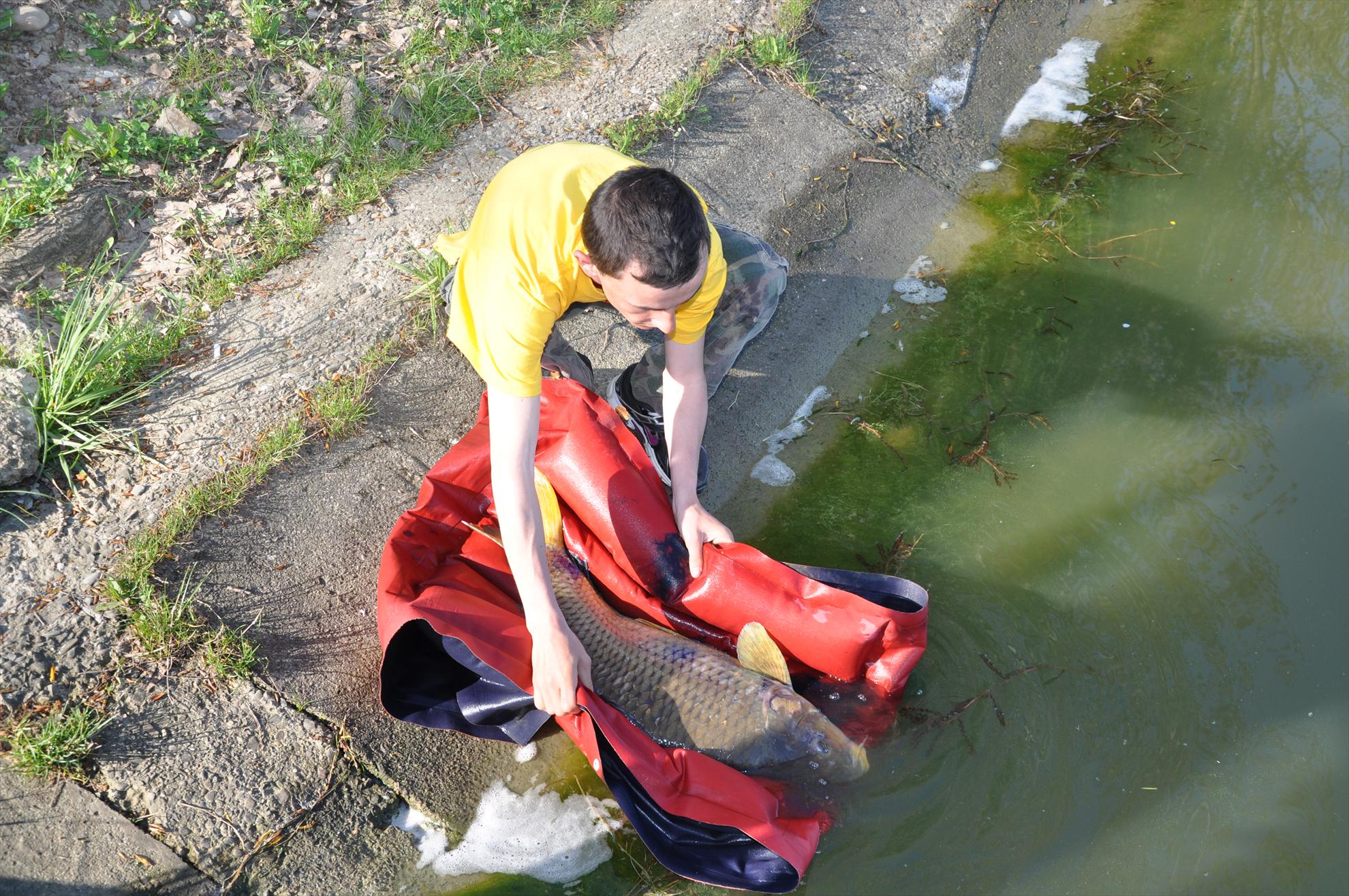 GALERIE FOTO TROFEUL USAMV - PLEASA 5 - dsc0678.JPG